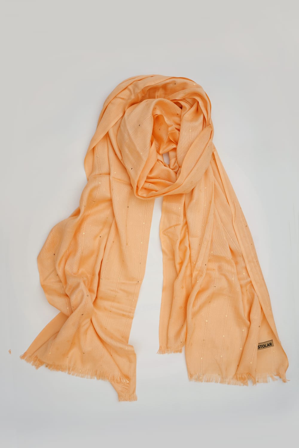 WhatsApp Image 2025-02-19 at 10.38.47 PM (2)